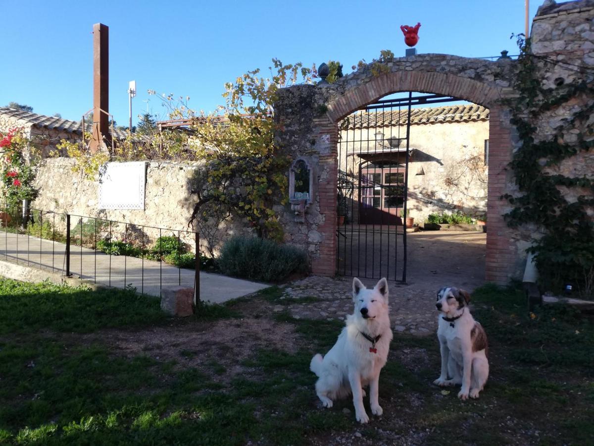 Mas Del Llop Blanc - Dog Friendly Hostal Rural - B&B Sobrestany Bagian luar foto