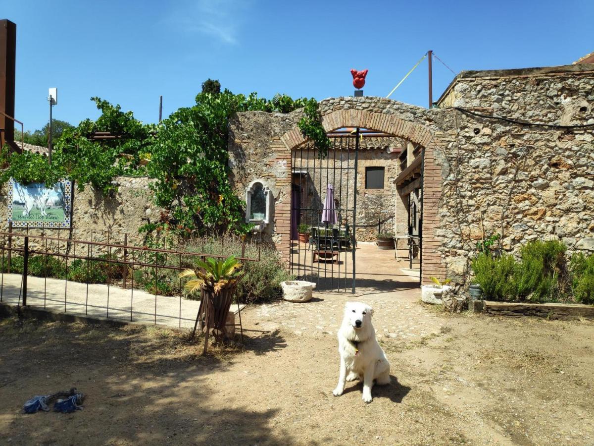 Mas Del Llop Blanc - Dog Friendly Hostal Rural - B&B Sobrestany Bagian luar foto